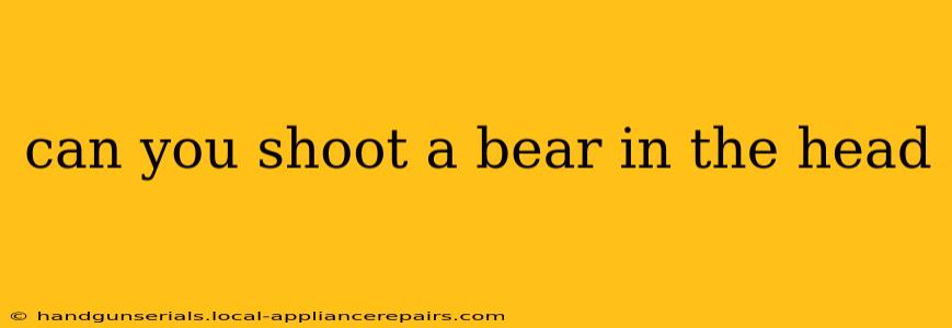 can you shoot a bear in the head