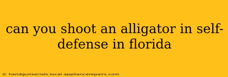 can you shoot an alligator in self-defense in florida