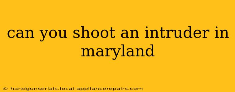 can you shoot an intruder in maryland