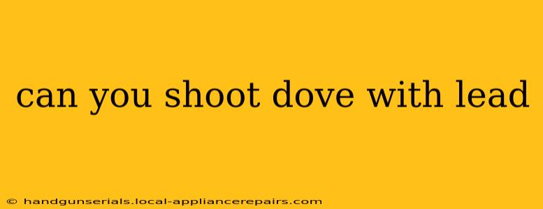 can you shoot dove with lead