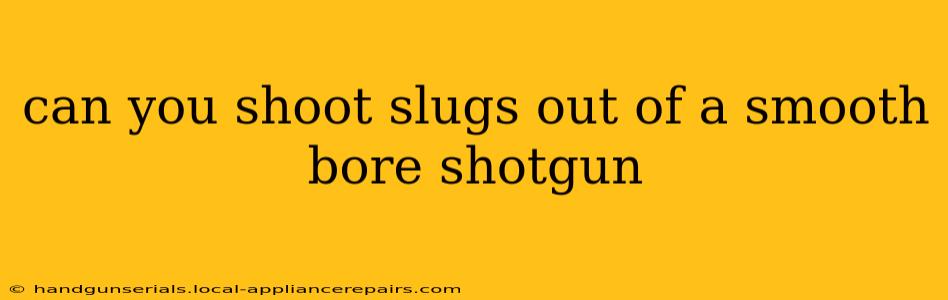 can you shoot slugs out of a smooth bore shotgun