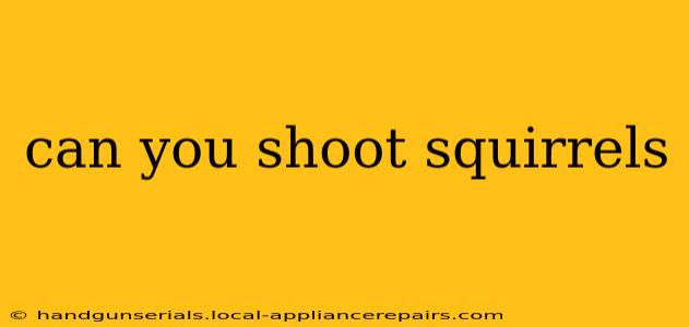 can you shoot squirrels