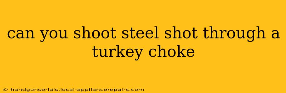 can you shoot steel shot through a turkey choke