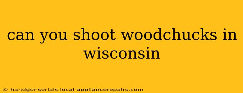 can you shoot woodchucks in wisconsin