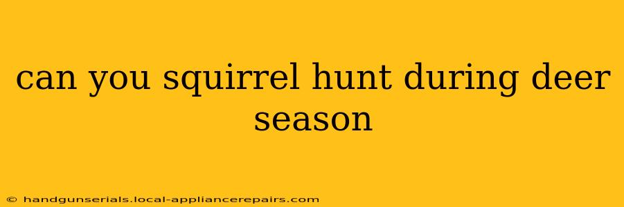 can you squirrel hunt during deer season