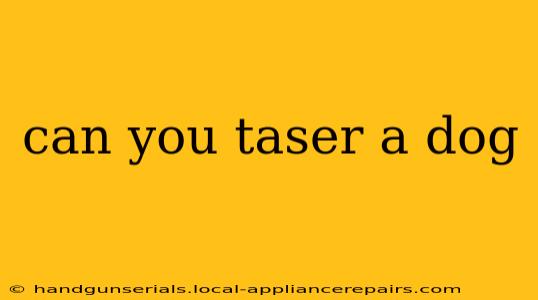 can you taser a dog