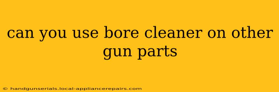 can you use bore cleaner on other gun parts