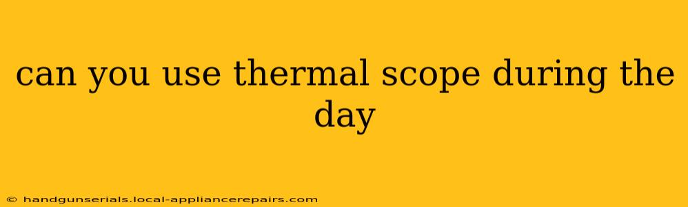 can you use thermal scope during the day