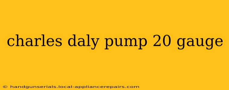 charles daly pump 20 gauge