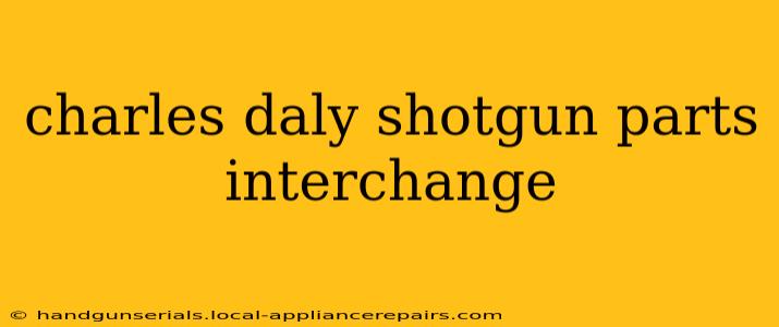 charles daly shotgun parts interchange