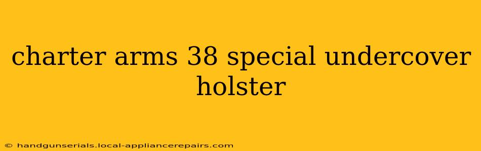 charter arms 38 special undercover holster