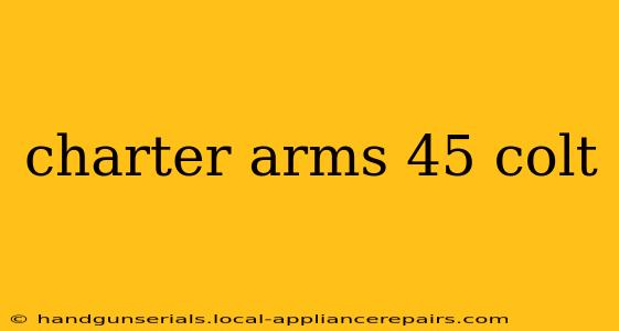 charter arms 45 colt