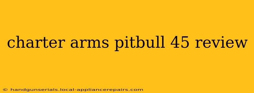 charter arms pitbull 45 review