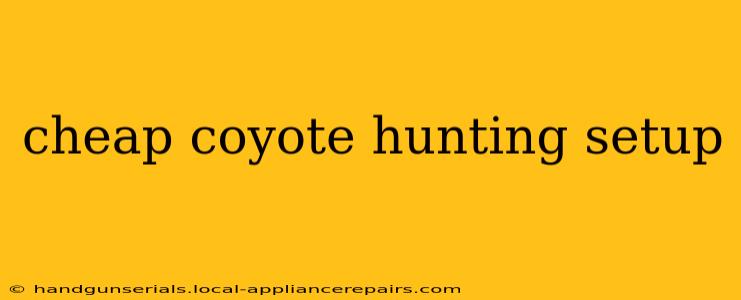 cheap coyote hunting setup