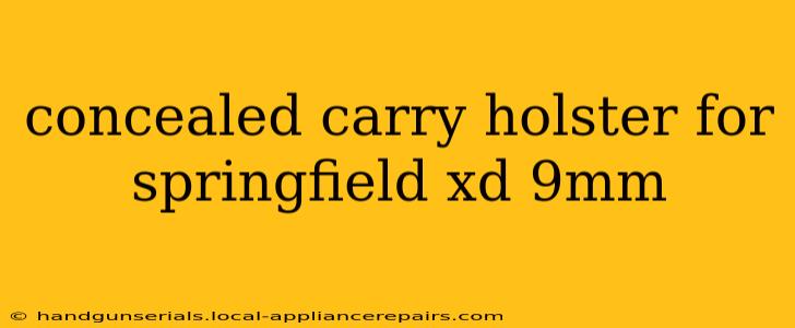 concealed carry holster for springfield xd 9mm