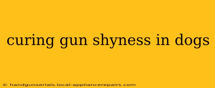 curing gun shyness in dogs