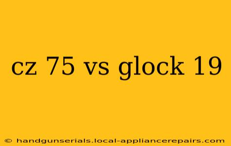 cz 75 vs glock 19