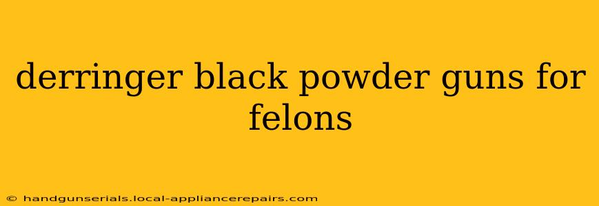 derringer black powder guns for felons