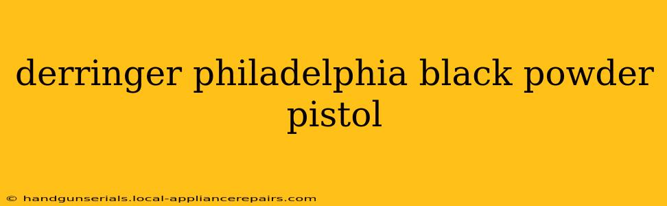 derringer philadelphia black powder pistol