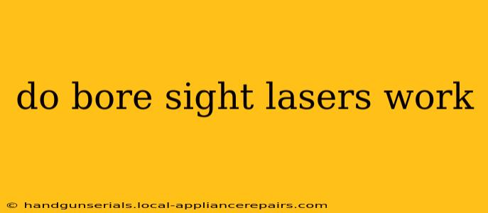 do bore sight lasers work