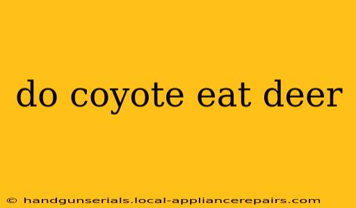 do coyote eat deer