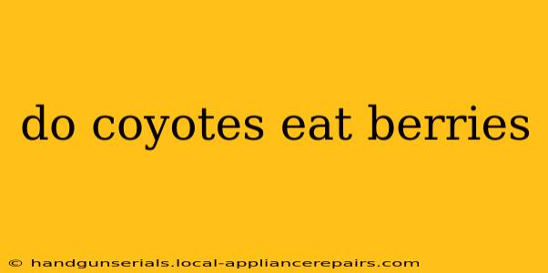 do coyotes eat berries