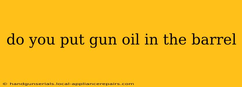 do you put gun oil in the barrel