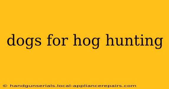 dogs for hog hunting