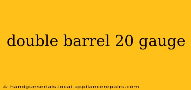 double barrel 20 gauge