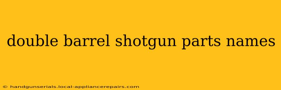 double barrel shotgun parts names