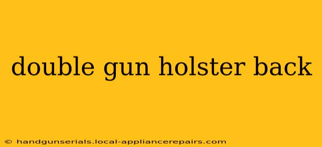 double gun holster back