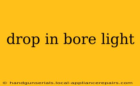 drop in bore light