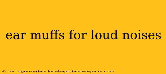 ear muffs for loud noises