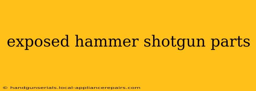 exposed hammer shotgun parts