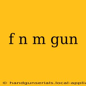 f n m gun