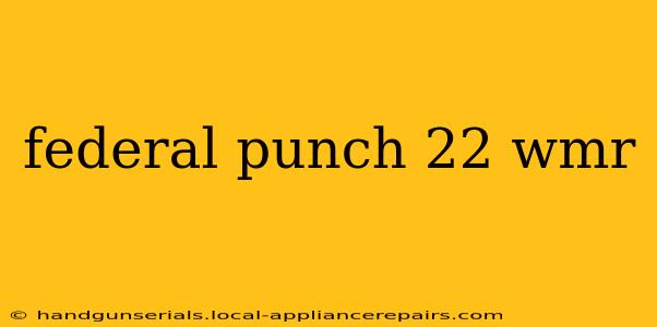 federal punch 22 wmr