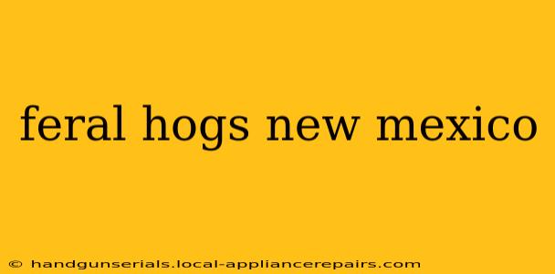 feral hogs new mexico