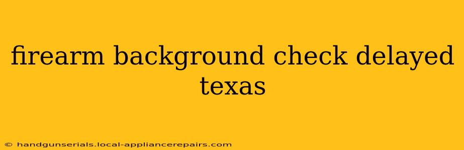 firearm background check delayed texas