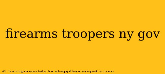 firearms troopers ny gov