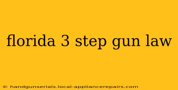 florida 3 step gun law