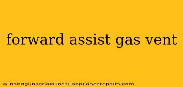 forward assist gas vent