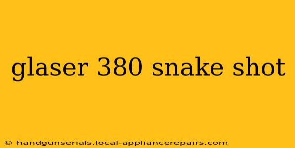 glaser 380 snake shot