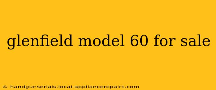 glenfield model 60 for sale