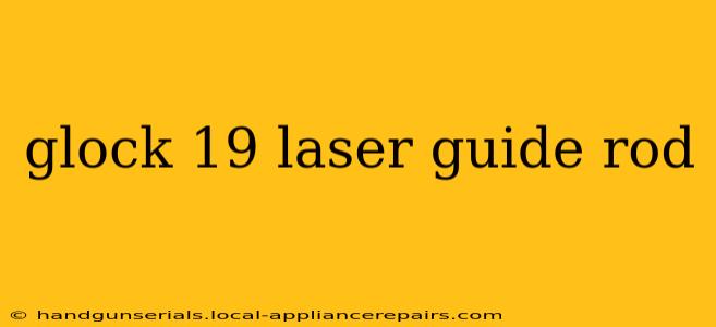 glock 19 laser guide rod