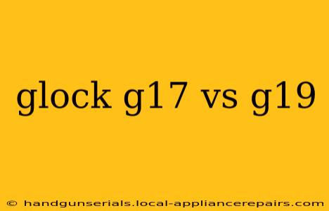 glock g17 vs g19