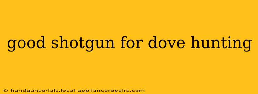 good shotgun for dove hunting