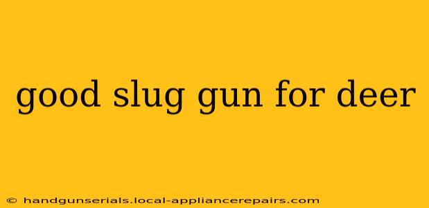 good slug gun for deer