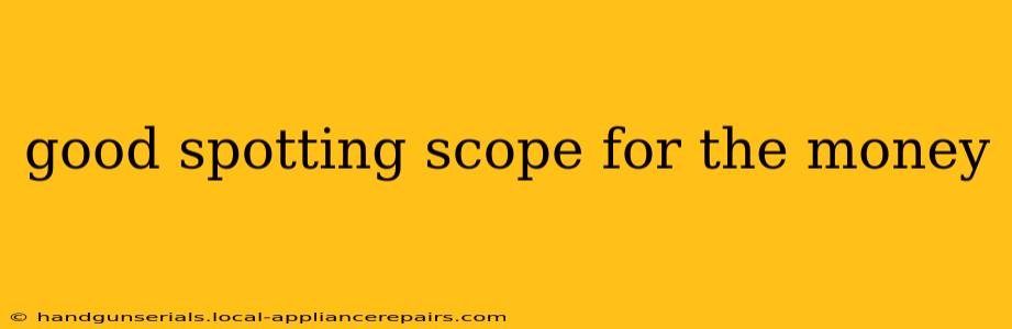 good spotting scope for the money