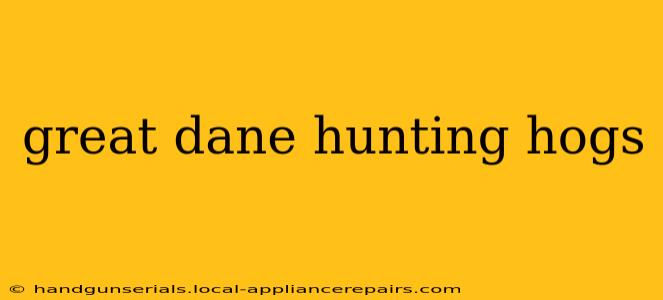 great dane hunting hogs