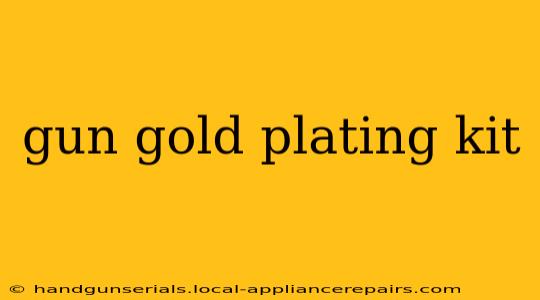 gun gold plating kit